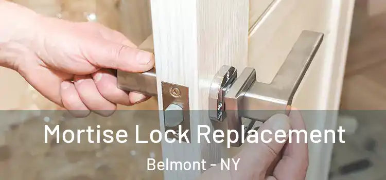 Mortise Lock Replacement Belmont - NY