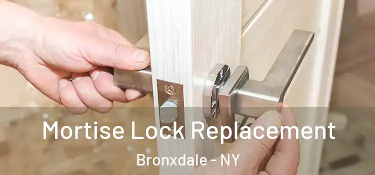 Mortise Lock Replacement Bronxdale - NY