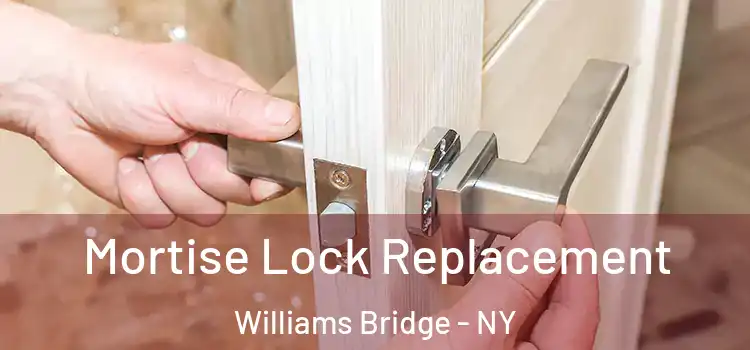 Mortise Lock Replacement Williams Bridge - NY