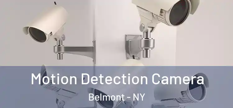  Motion Detection Camera Belmont - NY