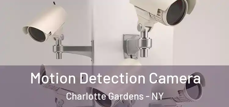  Motion Detection Camera Charlotte Gardens - NY