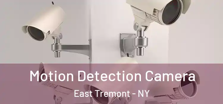  Motion Detection Camera East Tremont - NY