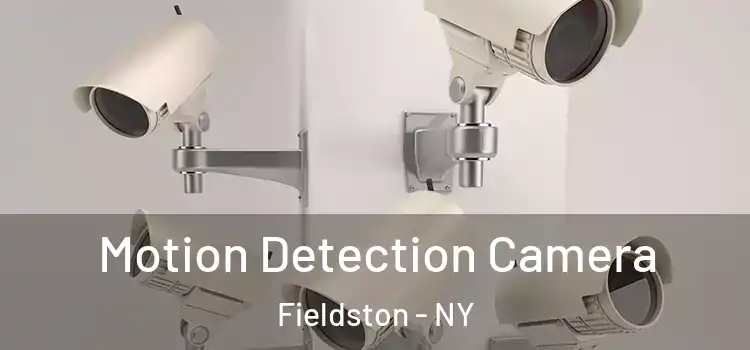  Motion Detection Camera Fieldston - NY