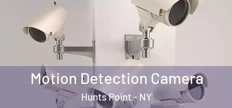  Motion Detection Camera Hunts Point - NY