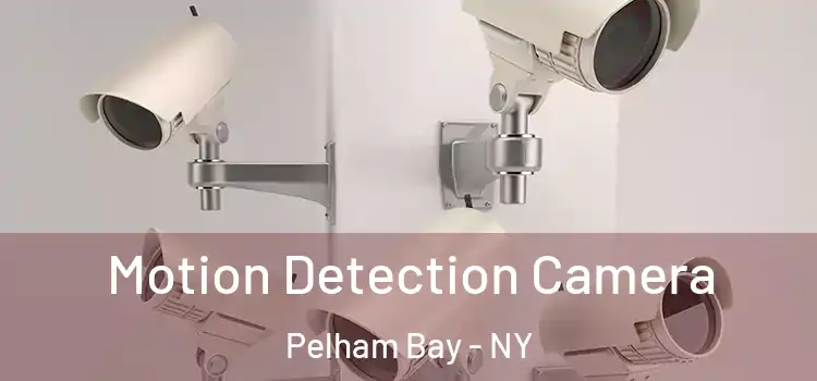  Motion Detection Camera Pelham Bay - NY
