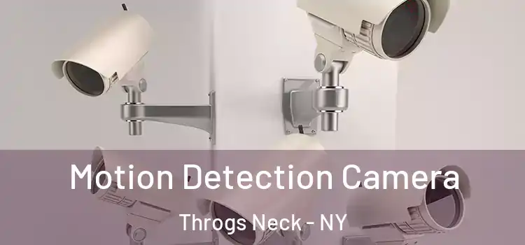  Motion Detection Camera Throgs Neck - NY