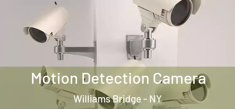  Motion Detection Camera Williams Bridge - NY