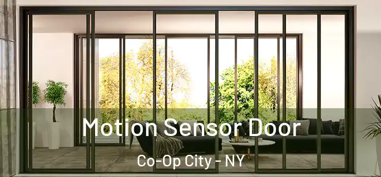 Motion Sensor Door Co-Op City - NY
