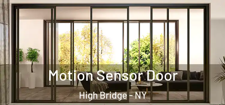  Motion Sensor Door High Bridge - NY