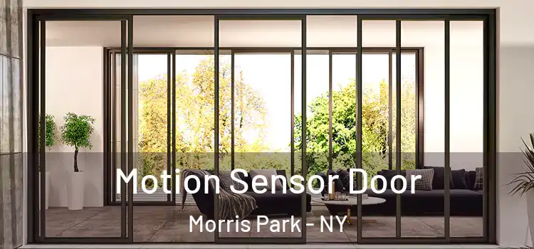  Motion Sensor Door Morris Park - NY