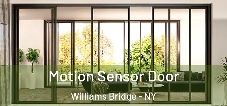  Motion Sensor Door Williams Bridge - NY