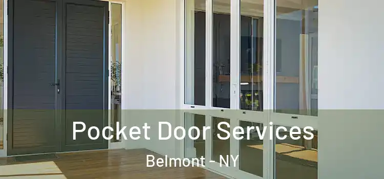Pocket Door Services Belmont - NY