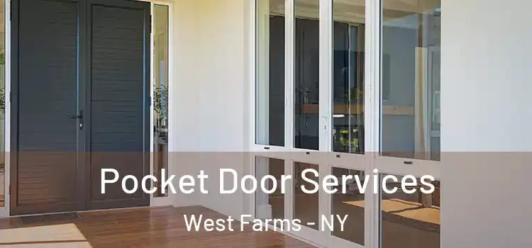 Pocket Door Services West Farms - NY