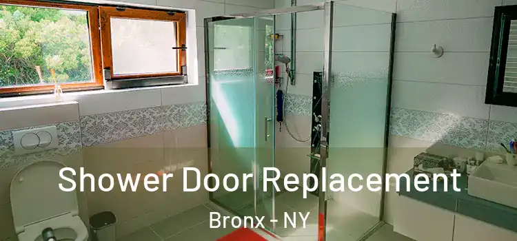 Shower Door Replacement Bronx - NY