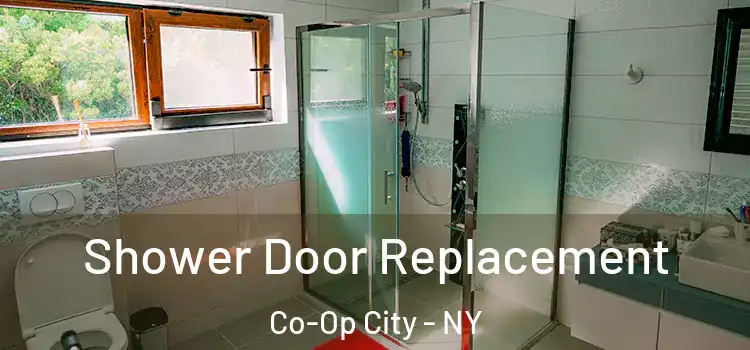 Shower Door Replacement Co-Op City - NY