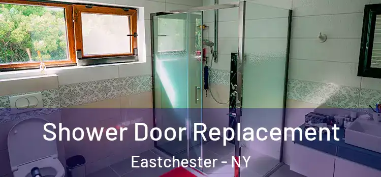 Shower Door Replacement Eastchester - NY