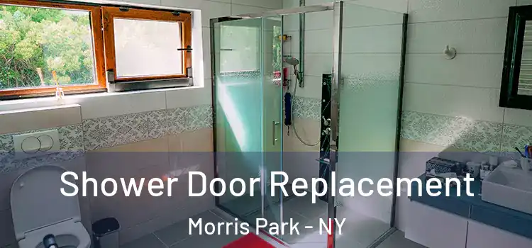  Shower Door Replacement Morris Park - NY