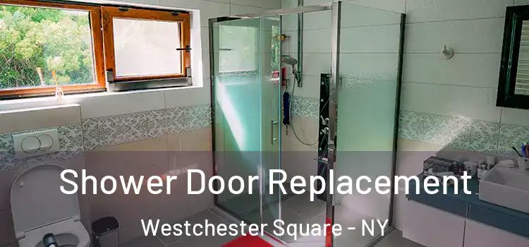 Shower Door Replacement Westchester Square - NY