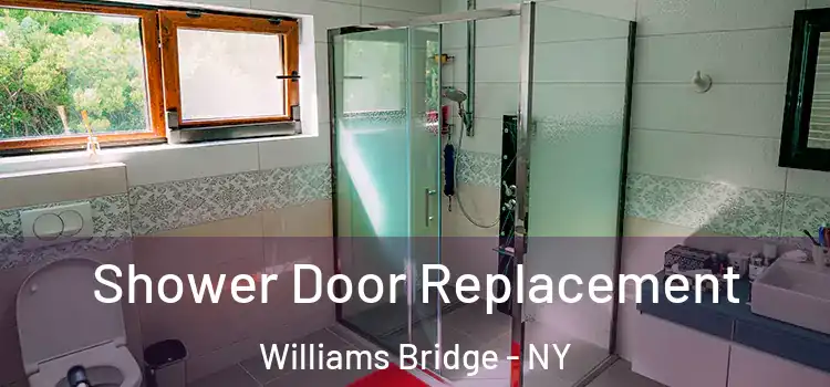 Shower Door Replacement Williams Bridge - NY