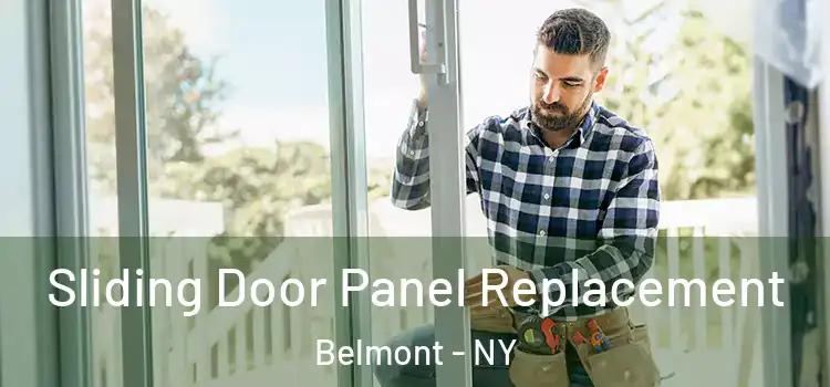  Sliding Door Panel Replacement Belmont - NY