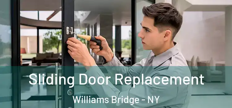 Sliding Door Replacement Williams Bridge - NY