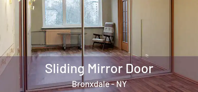  Sliding Mirror Door Bronxdale - NY