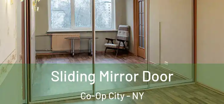  Sliding Mirror Door Co-Op City - NY