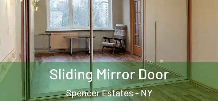  Sliding Mirror Door Spencer Estates - NY