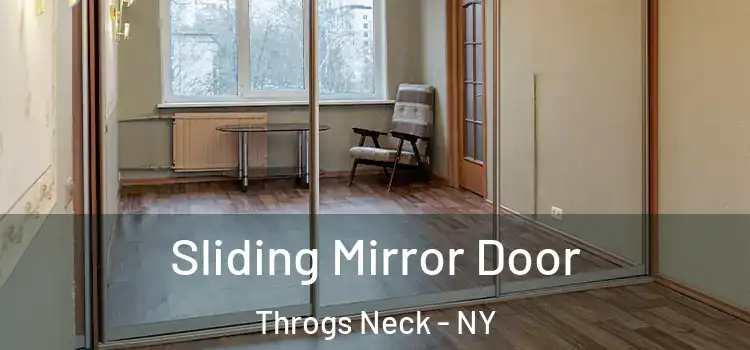  Sliding Mirror Door Throgs Neck - NY