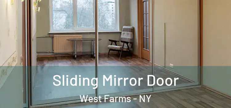  Sliding Mirror Door West Farms - NY