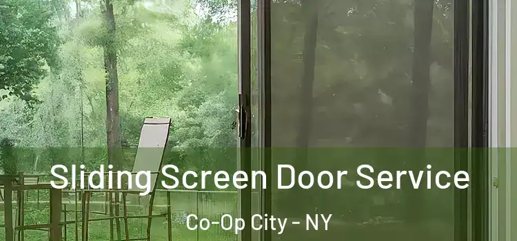 Sliding Screen Door Service Co-Op City - NY