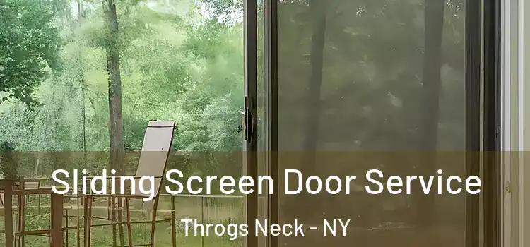 Sliding Screen Door Service Throgs Neck - NY