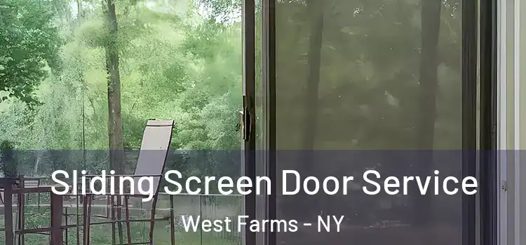 Sliding Screen Door Service West Farms - NY