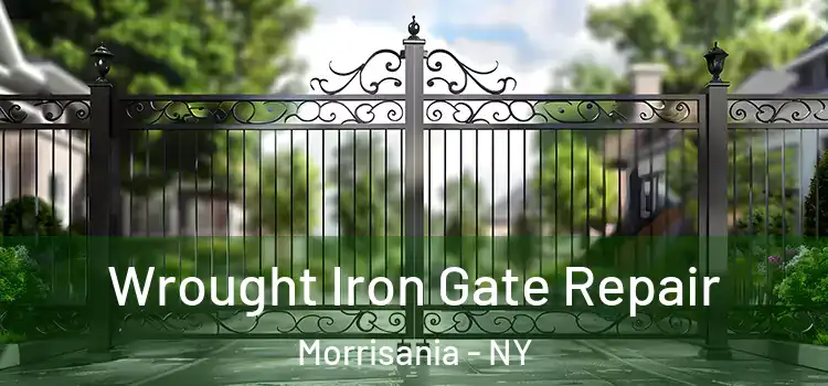 Wrought Iron Gate Repair Morrisania - NY